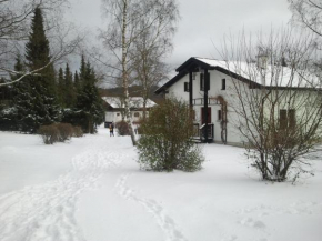 Гостиница Ferienhaus Bayerischer Wald, Реген